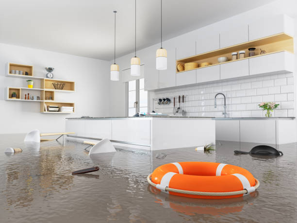 Appliance Leak Water Damage in Ingram, Texas (4059)