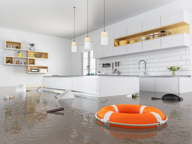 Appliance Leak Water Damage in Lytle, Texas (7992)