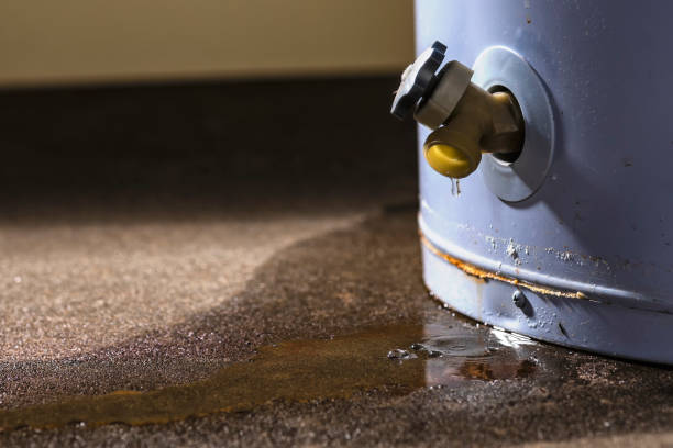 Appliance Leak Water Damage in Kingsbury, Texas (3616)