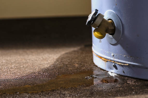 Appliance Leak Water Damage in San Antonio, Texas (4619)