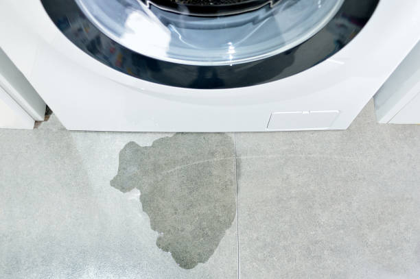 Appliance Leak Water Damage in Lytle, Texas (7674)