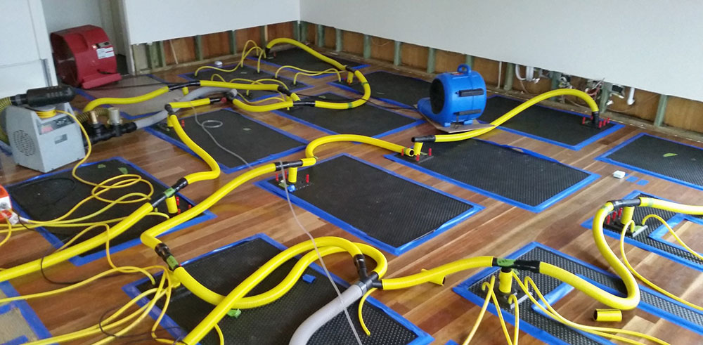 Hardwood Floor Drying in Floresville, Texas (2647)