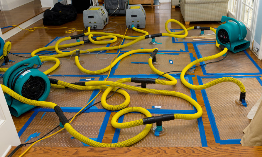 Hardwood Floor Drying in Devine, Texas (2289)