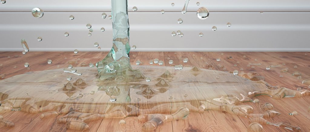 Hardwood Floor Drying in Leon Valley, Texas (2058)