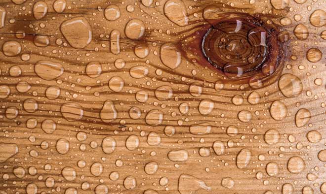 Hardwood Floor Drying in Nixon, Texas (8092)