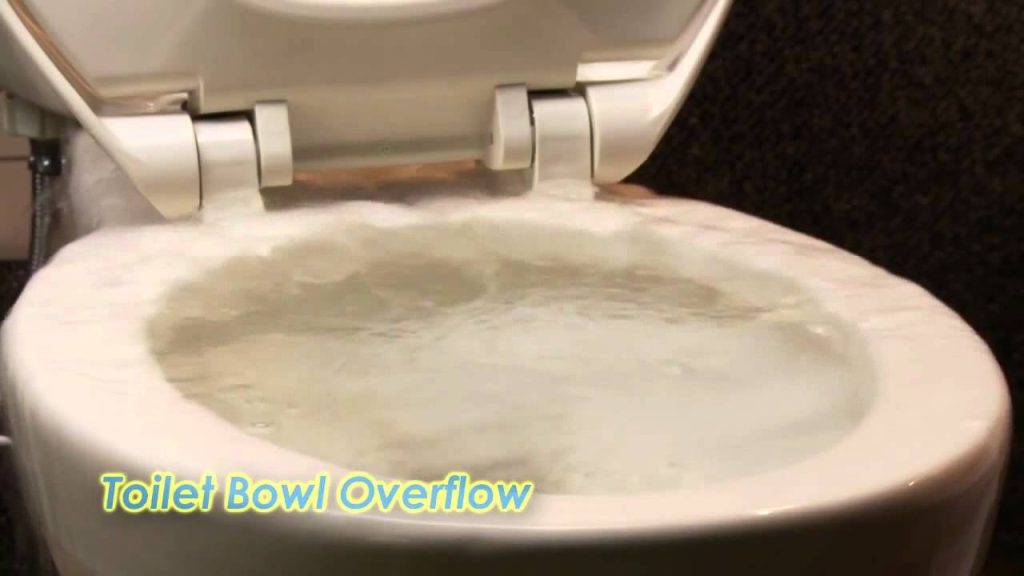 Toilet Overflow Cleanup in Bandera, Texas (6164)