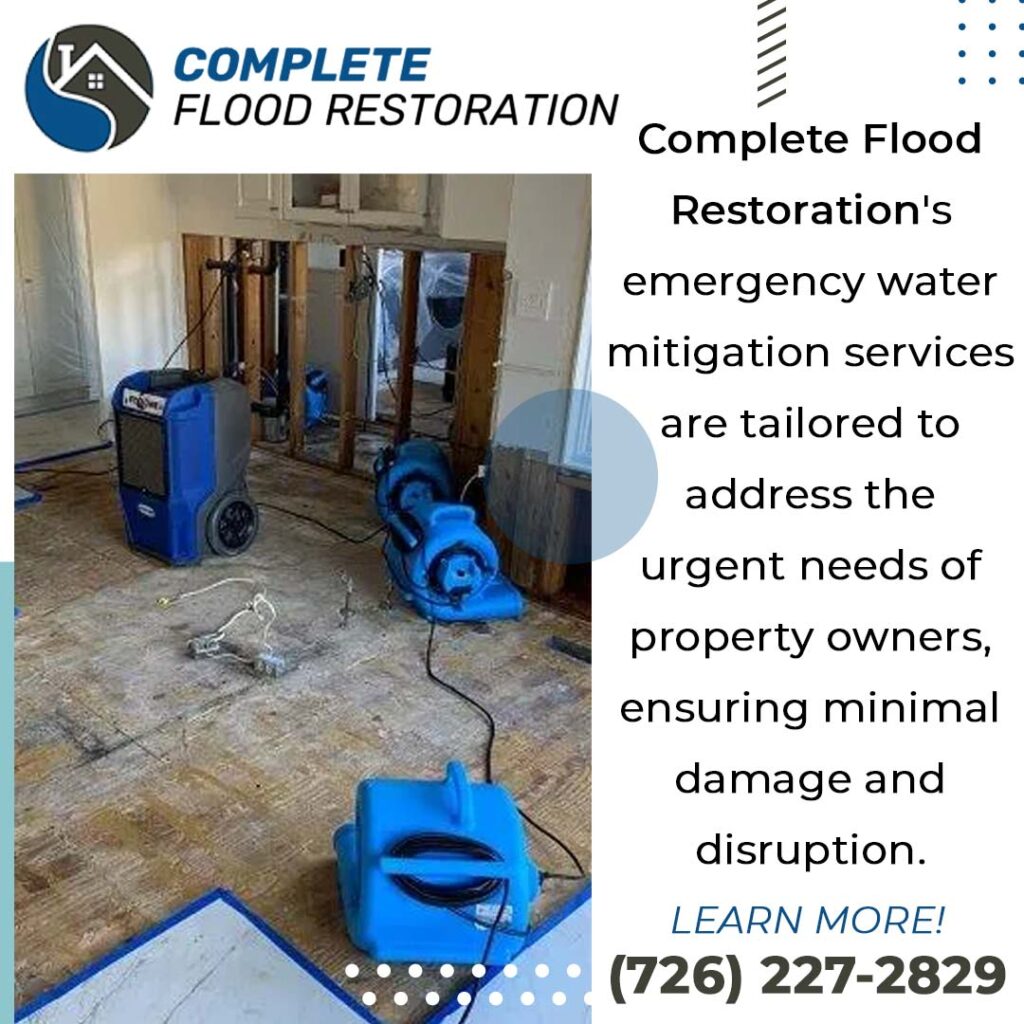 Emergency water mitigation services infographic