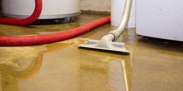 Flooded basement water damage cleanup