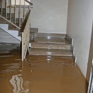 flooded basement without sump pump