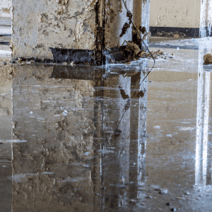 flooded commercial building