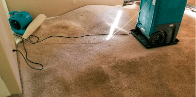 drying carpet water damage- flooded carpet