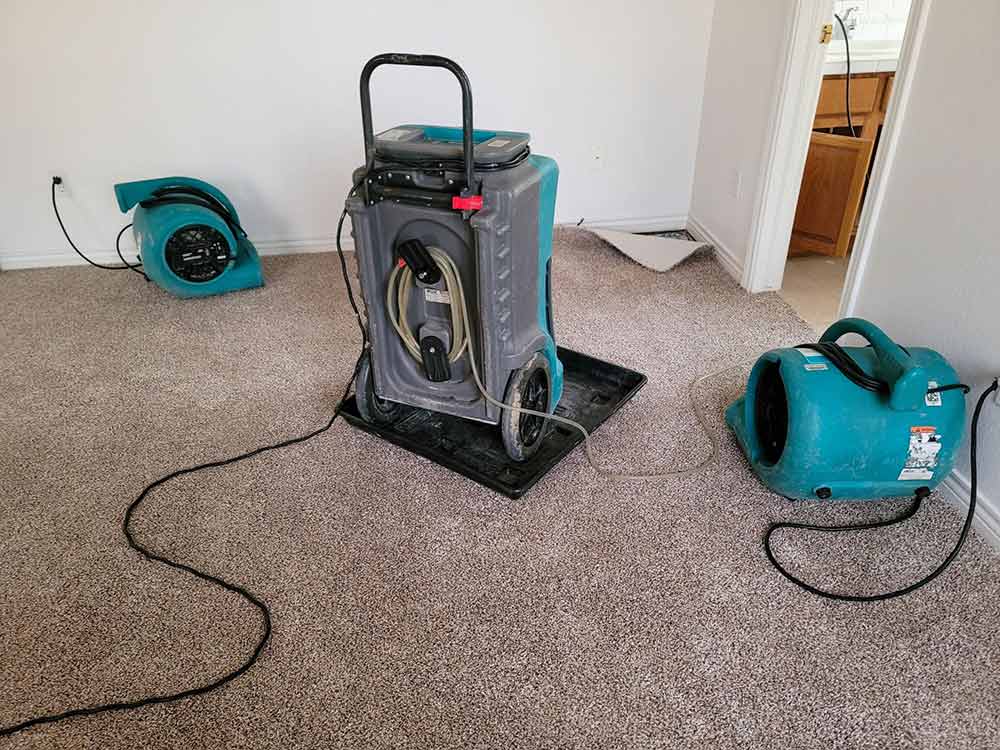 fans and dehumidifier drying carpet in home