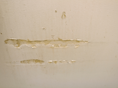 signs of water damage in drywall