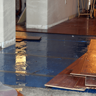 floors being removed during water remediation 