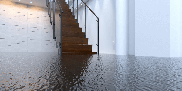 prevent basement flood