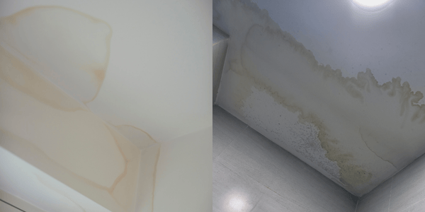 water stains on ceiling and walls